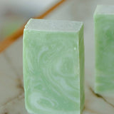 Moisturizing Vegan Body Wash - Aloe & Coconut Milk - No Tox Life