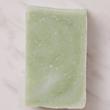 Moisturizing Vegan Body Wash - Aloe & Coconut Milk - No Tox Life