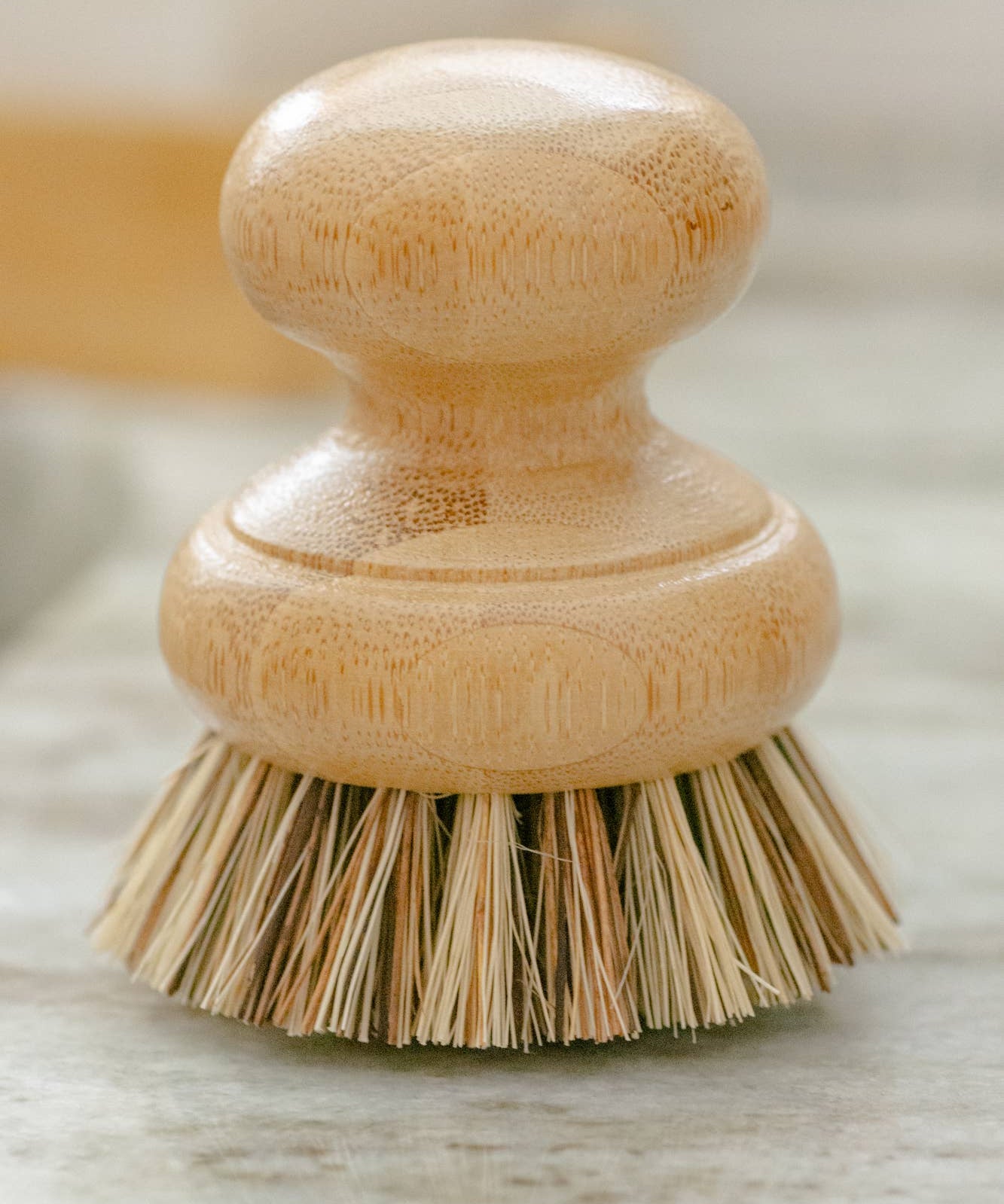 CASA AGAVE® Pot Scrubber Brush - No Tox Life