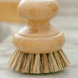 CASA AGAVE® Pot Scrubber Brush - No Tox Life