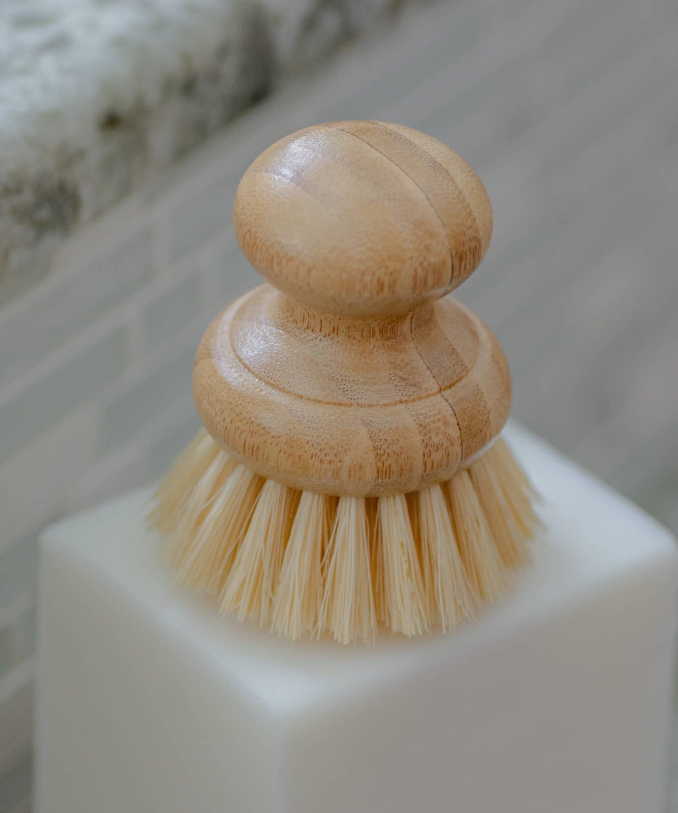 CASA AGAVE® Dish Washing Brush - No Tox Life