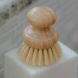 CASA AGAVE® Dish Washing Brush - No Tox Life