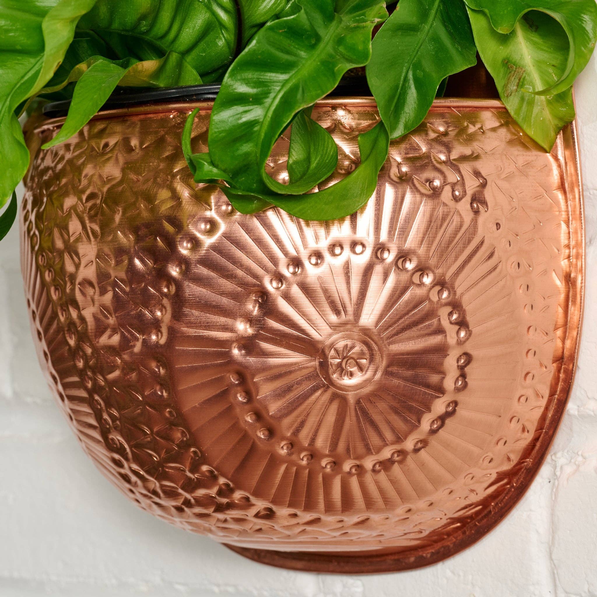 Dekhava Embossed Wall Planter