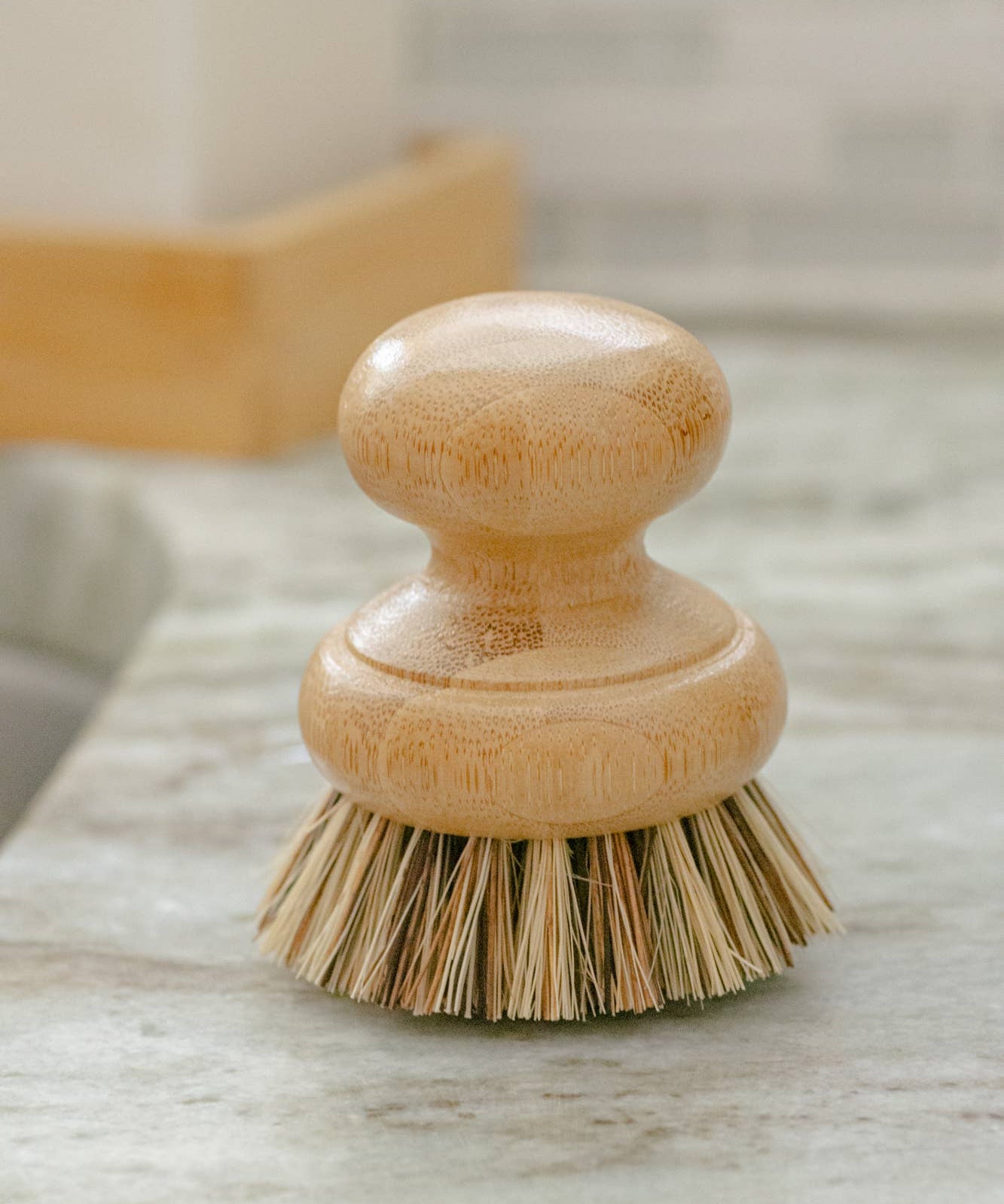 CASA AGAVE® Pot Scrubber Brush - No Tox Life