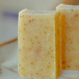 Moisturizing Vegan Body Wash - Turmeric Ginger - No Tox Life