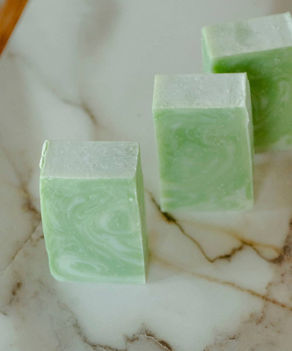 Moisturizing Vegan Body Wash - Aloe & Coconut Milk - No Tox Life