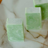 Moisturizing Vegan Body Wash - Aloe & Coconut Milk - No Tox Life