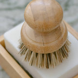 CASA AGAVE® Pot Scrubber Brush - No Tox Life