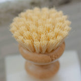 CASA AGAVE® Dish Washing Brush - No Tox Life